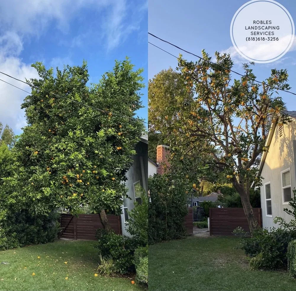 Trusted landscape installation experts serving San Fernando Valley, CA - Robles Landscaping Services