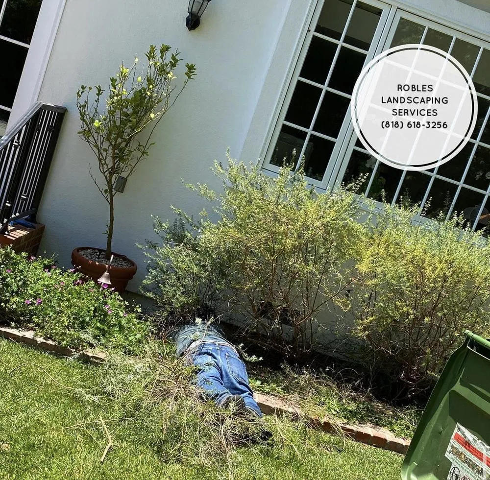 Custom yard cleanup service with custom design across San Fernando Valley, CA - Robles Landscaping Services