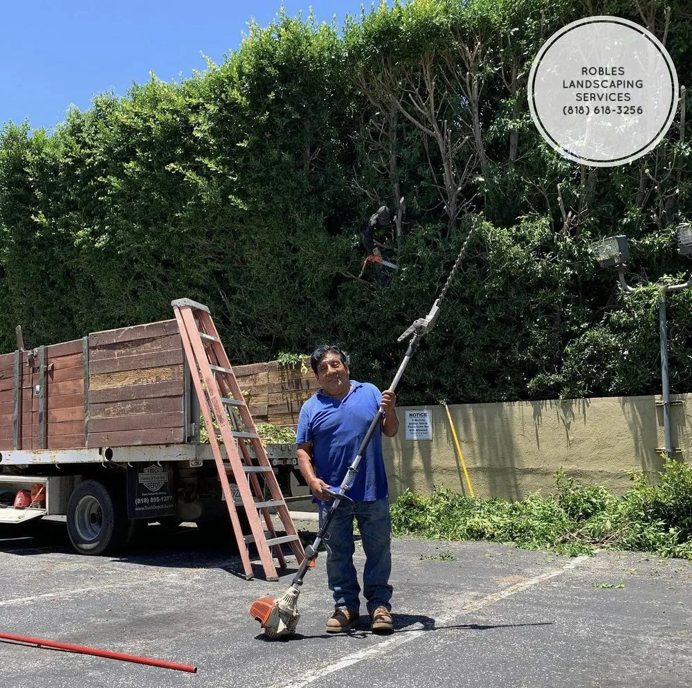 Professional residential landscaping for homes in San Fernando Valley, CA by Robles Landscaping Services