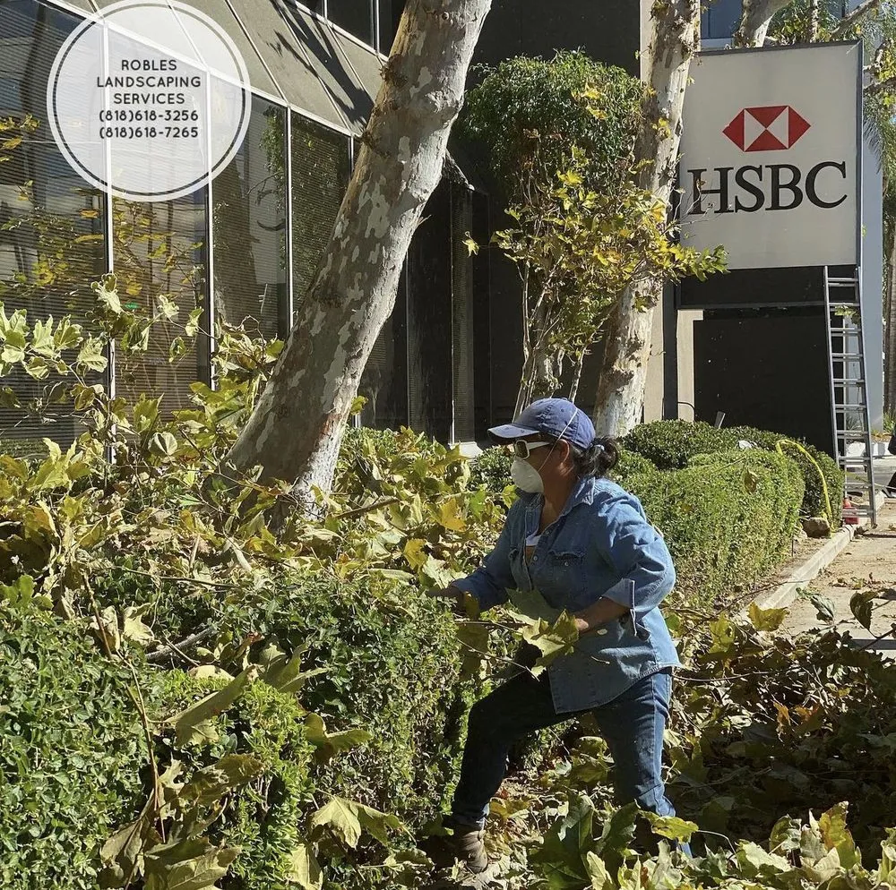 Reliable outdoor landscaping near you in San Fernando Valley, CA by Robles Landscaping Services