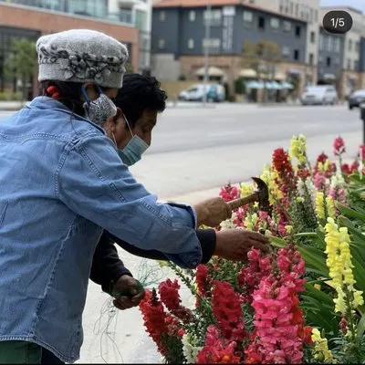 Robles Landscaping Services Logo