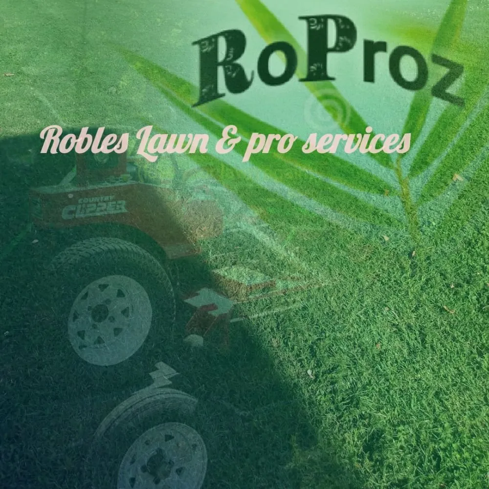 Local residential landscaping experts serving Joplin, MO - Robles Lawn & Pro Services