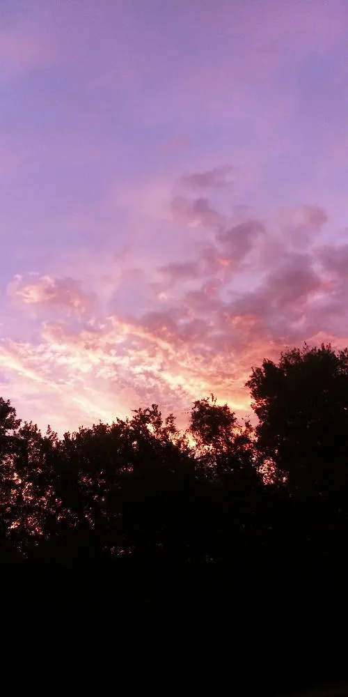 Custom outdoor landscaping with custom design across Joplin, MO - Robles Lawn & Pro Services