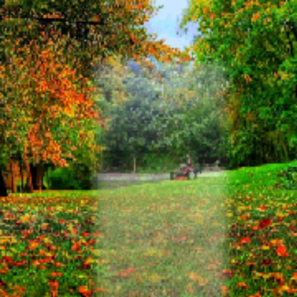 Trusted landscaping services for year-round maintenance across Joplin, MO - Robles Lawn & Pro Services