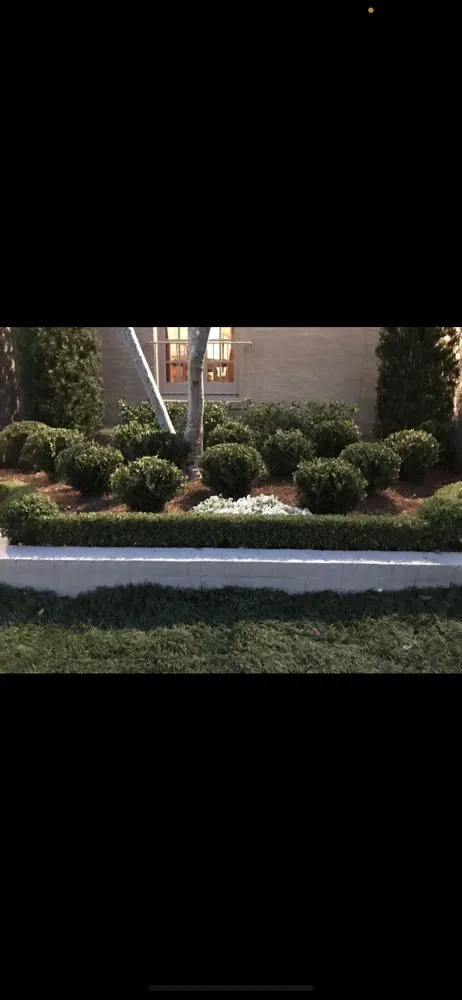 Reliable residential landscaping with custom design across Metairie, LA - Robles Lawn Care Services
