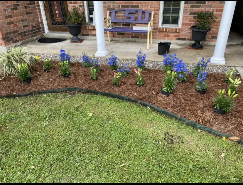 Reliable residential landscaping experts serving Metairie, LA - Robles Lawn Care Services