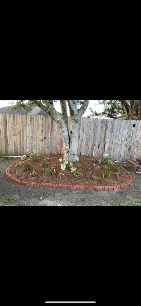 Local landscape design in Metairie, LA by Robles Lawn Care Services