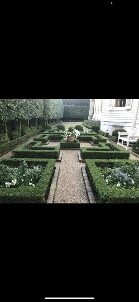 Trusted yard maintenance in Metairie, LA by Robles Lawn Care Services