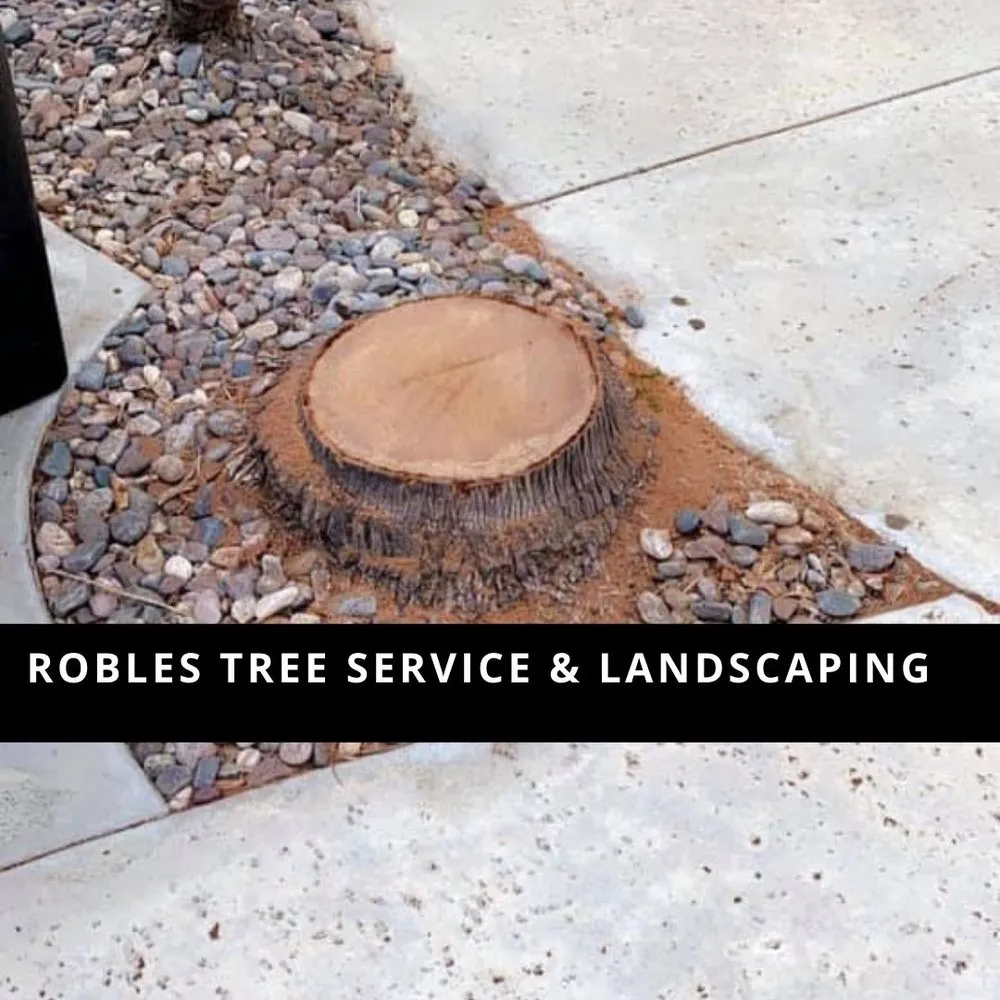 Custom garden landscaping for year-round maintenance in Temecula, CA by Robles Tree Service & Landscaping