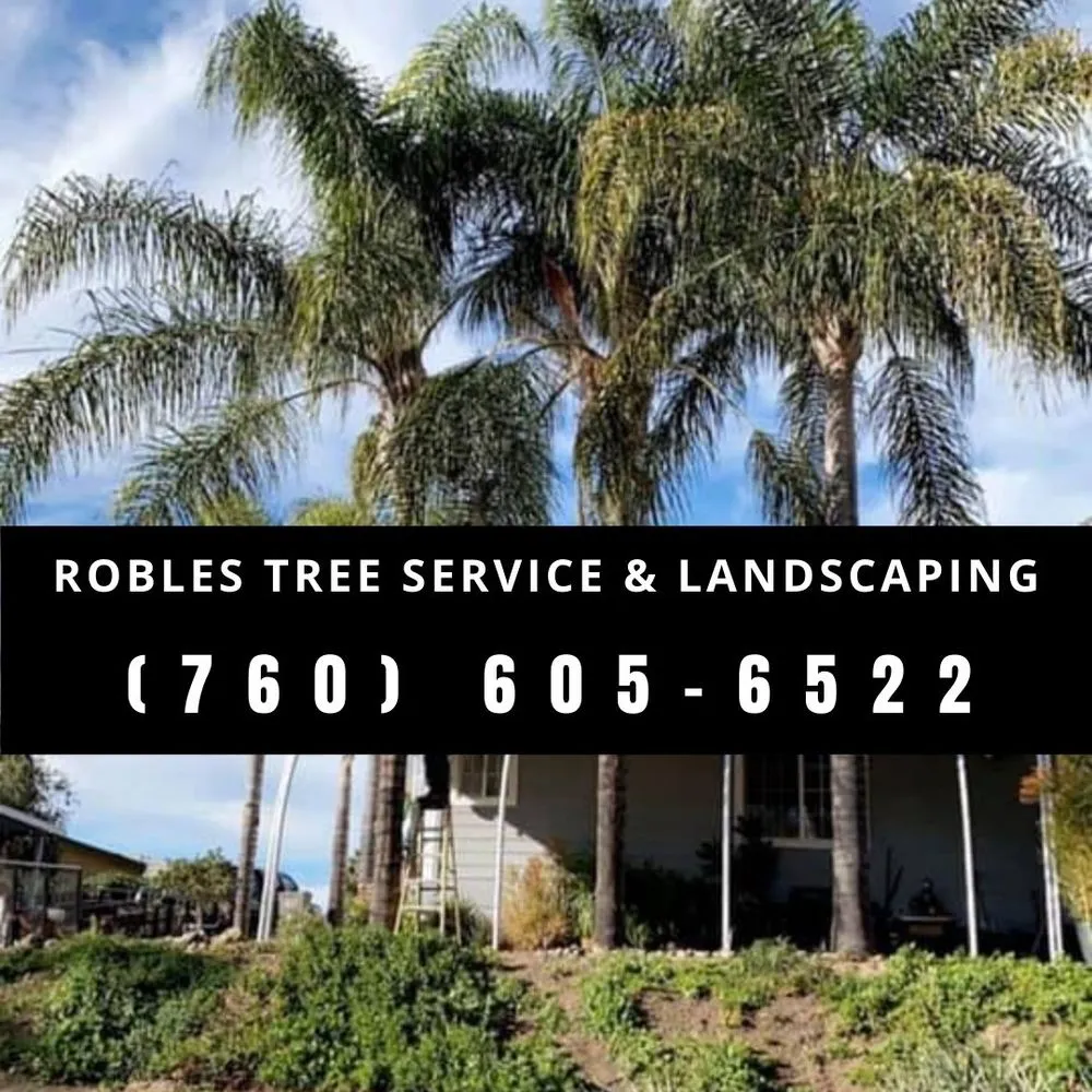 Local lawn care service in Temecula, CA by Robles Tree Service & Landscaping