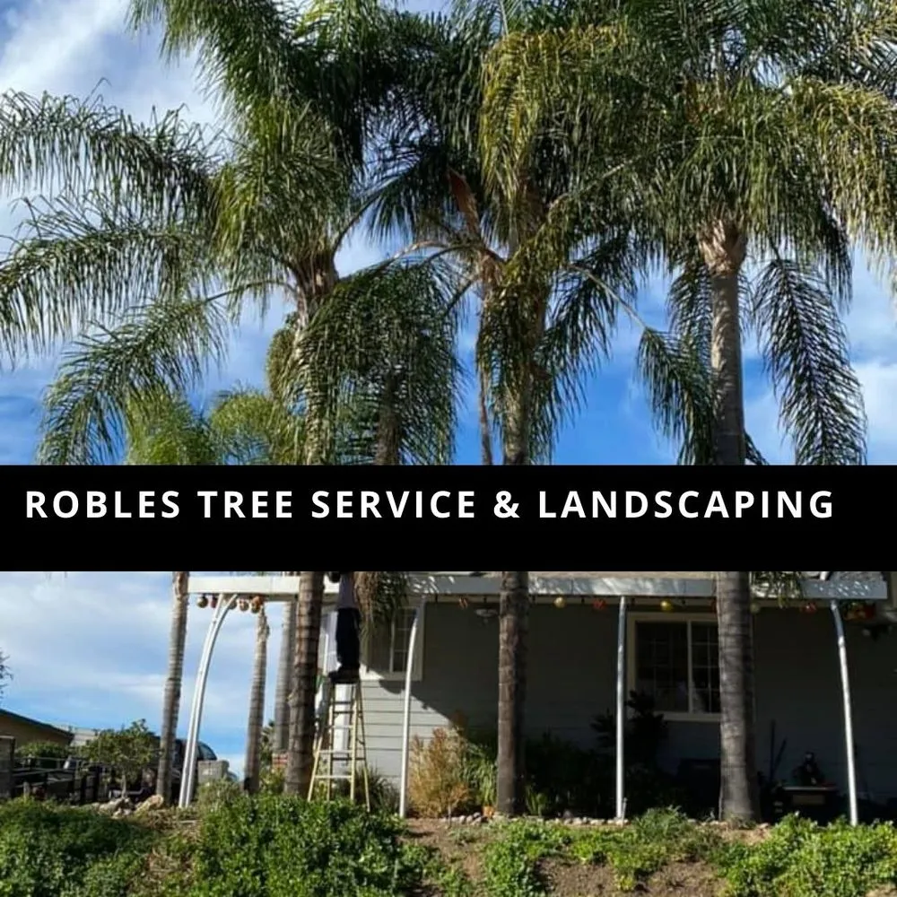 Custom residential landscaping for homes in Temecula, CA by Robles Tree Service & Landscaping