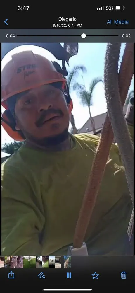 Custom yard maintenance with custom design across Temecula, CA - Robles Tree Service & Landscaping