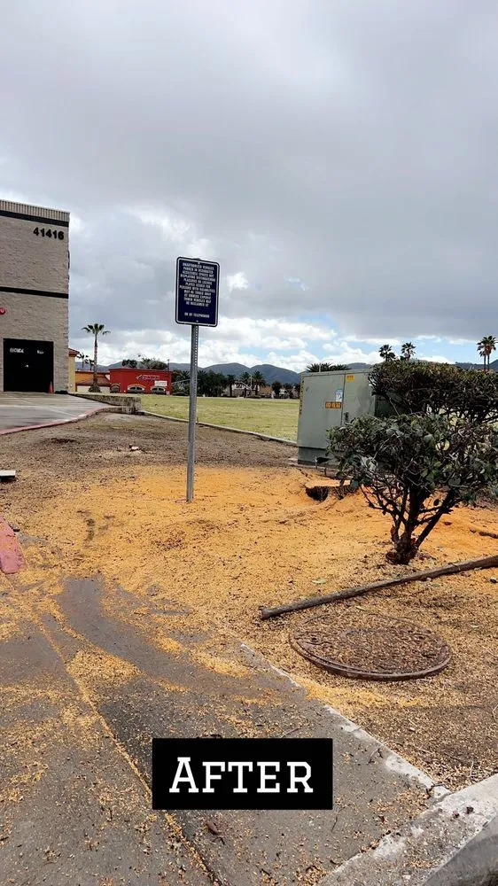 Expert outdoor landscaping in Temecula, CA by Robles Tree Service & Landscaping