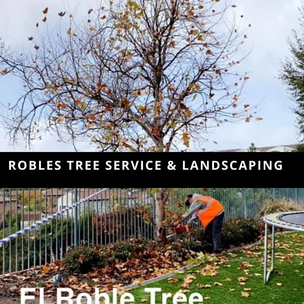 Local landscape installation near you in Temecula, CA by Robles Tree Service & Landscaping