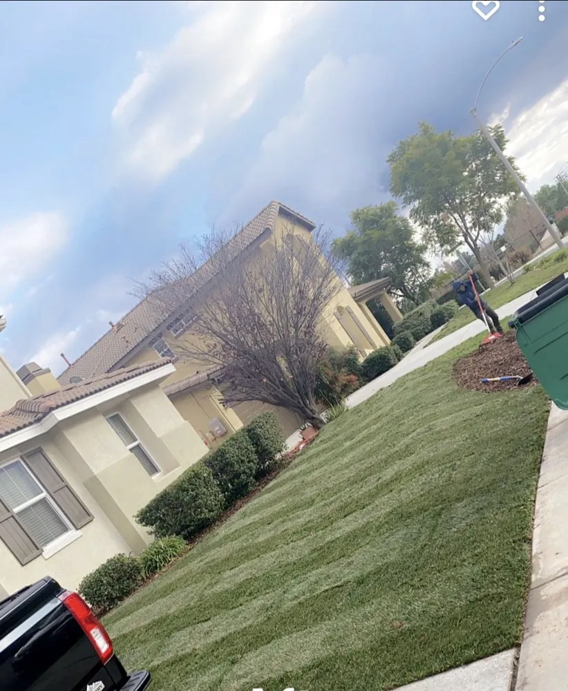 Local landscape installation with custom design in Temecula, CA by Robles Tree Service & Landscaping