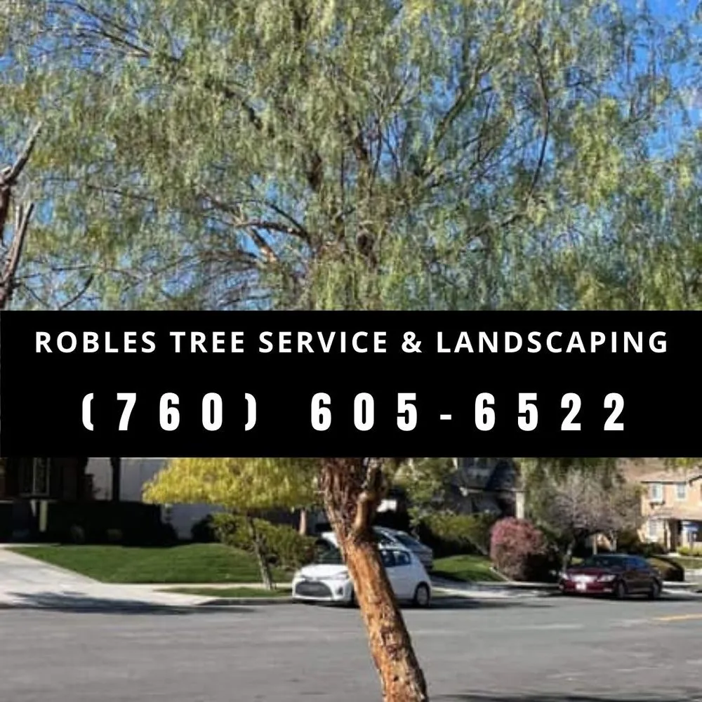 Professional landscape installation for year-round maintenance across Temecula, CA - Robles Tree Service & Landscaping