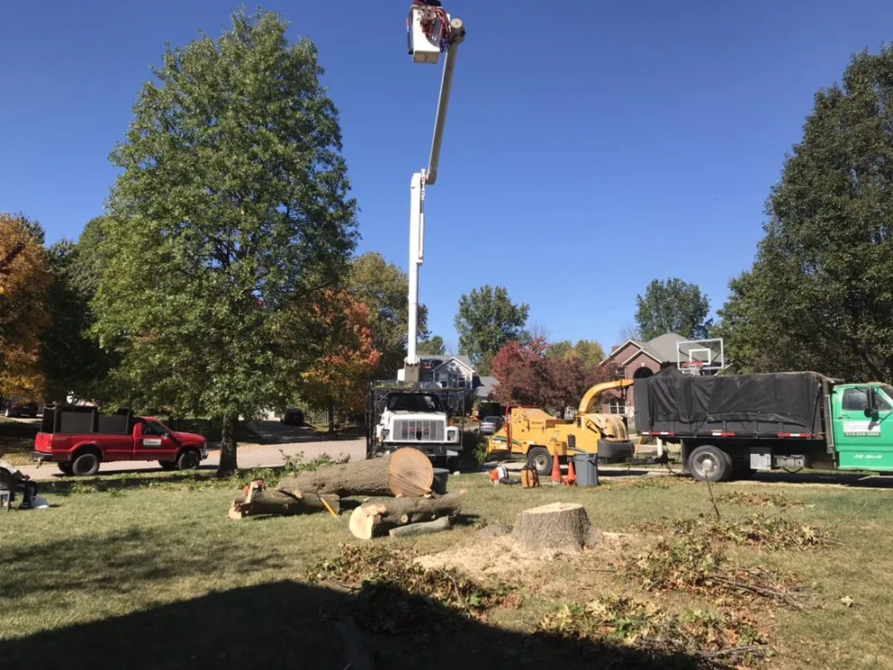 Affordable outdoor landscaping for beautiful yards in Cincinnati, OH by Robles Tree Service