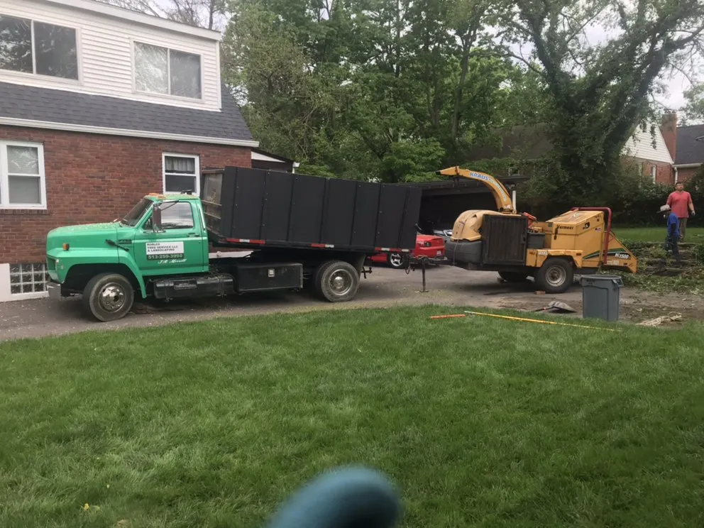 Local yard cleanup service in Cincinnati, OH - Robles Tree Service
