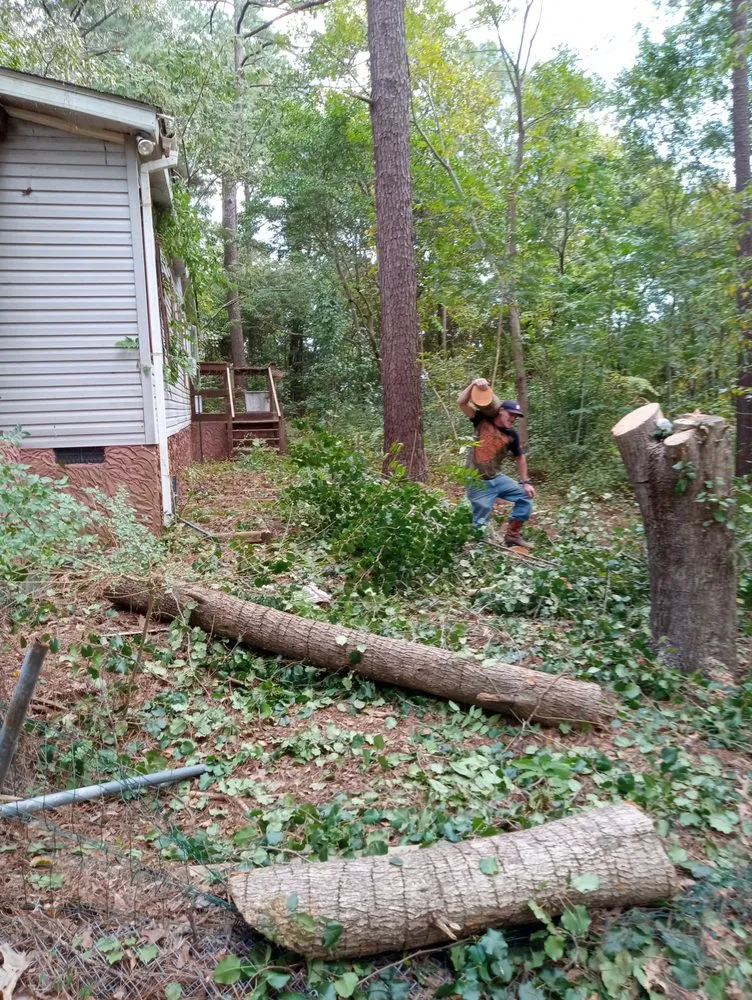 Top-rated landscaping services for outdoor upgrades across Fayetteville, NC - Robnsons Lawn and Irrigation Services