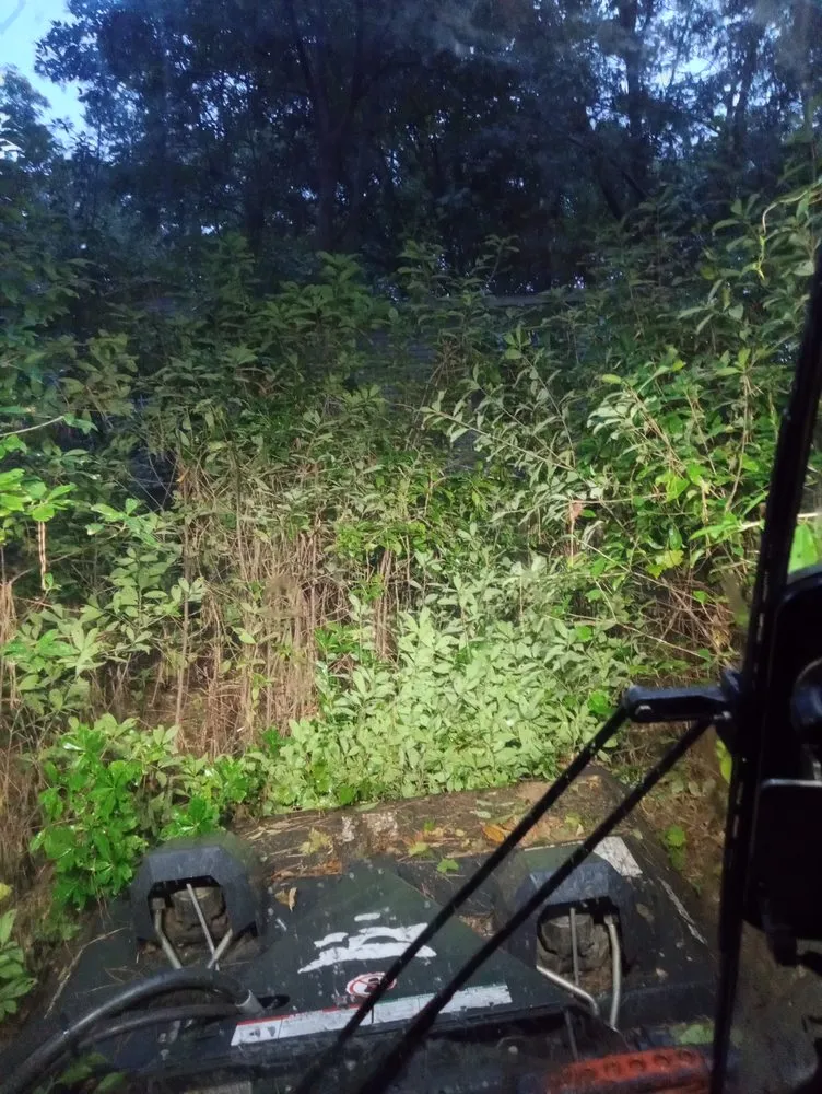 Affordable yard maintenance in Fayetteville, NC by Robnsons Lawn and Irrigation Services