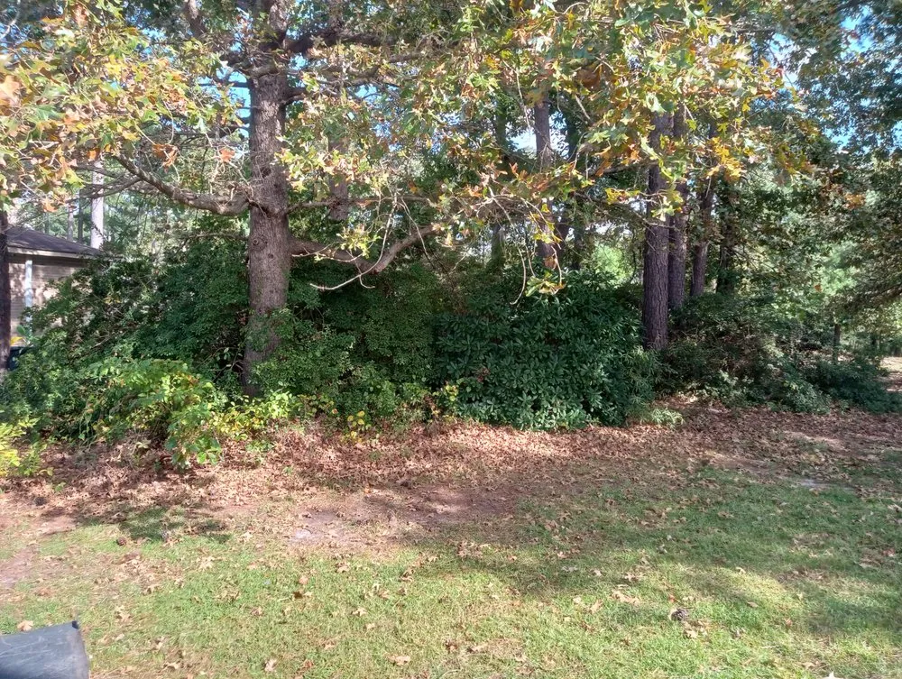 Top-rated lawn care service experts serving Fayetteville, NC - Robnsons Lawn and Irrigation Services