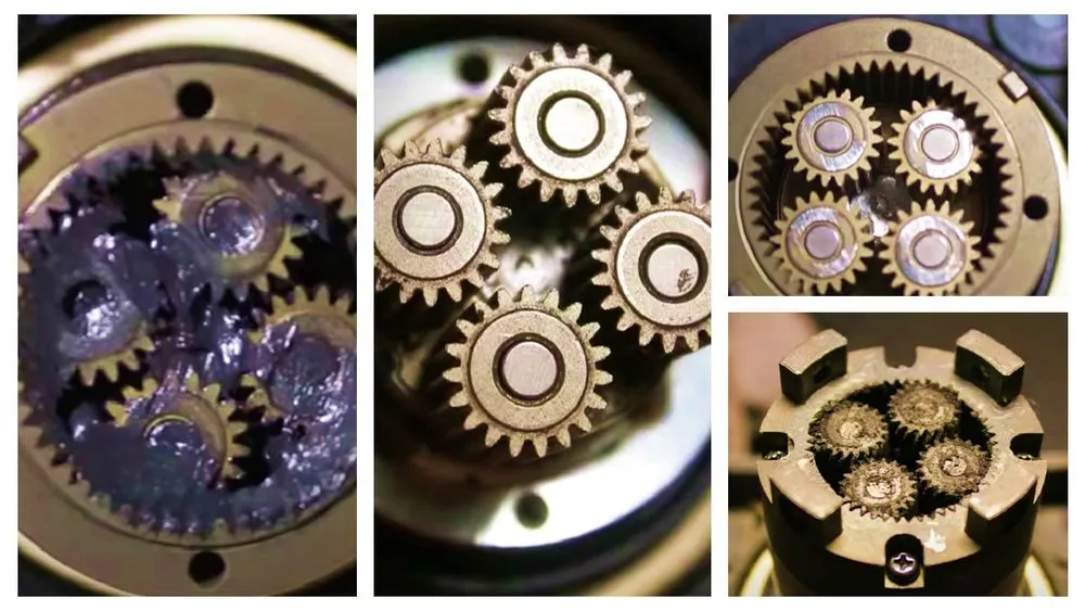 Professional garden landscaping for year-round maintenance across Spartanburg, SC - RoboLawn Rescue