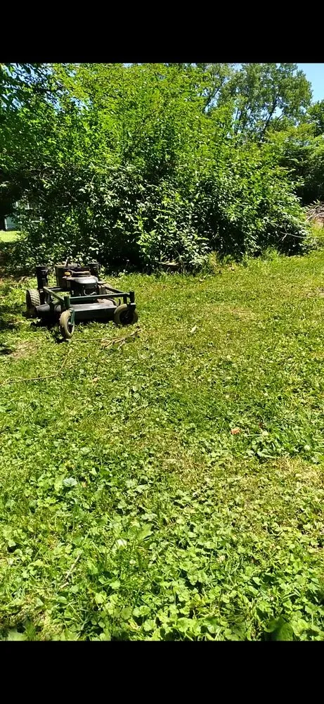 Local garden landscaping for homes across Conneaut, OH - Robotic Lawn Care