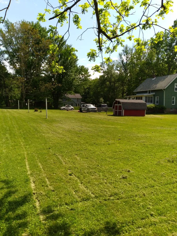 Affordable lawn care service experts serving Conneaut, OH - Robotic Lawn Care