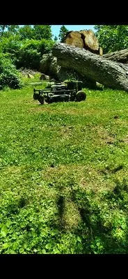 Robotic Lawn Care Logo