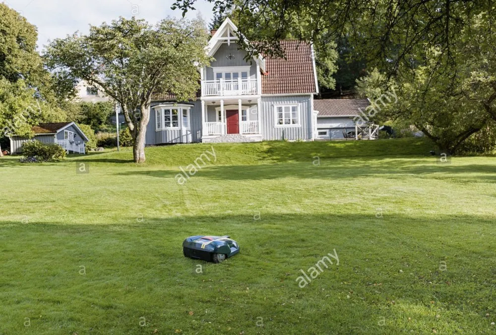 Reliable outdoor landscaping in Cumming, GA by Robotic Lawn Services