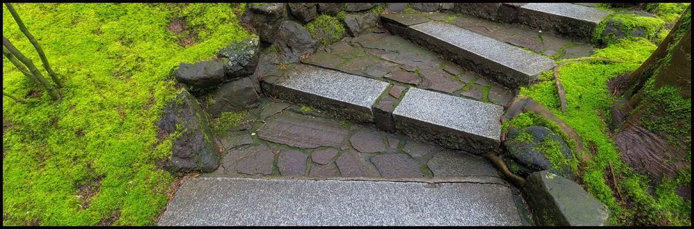 Reliable yard maintenance in Freehold, NJ - Rob's All American Landscaping