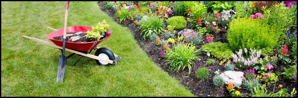 Local yard maintenance in Freehold, NJ - Rob's All American Landscaping