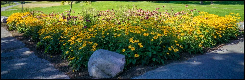 Affordable garden landscaping in Freehold, NJ by Rob's All American Landscaping