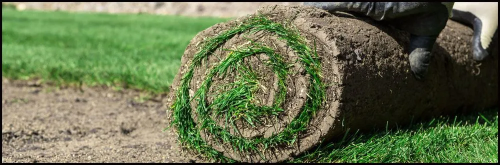 Top-rated yard cleanup service in Freehold, NJ - Rob's All American Landscaping