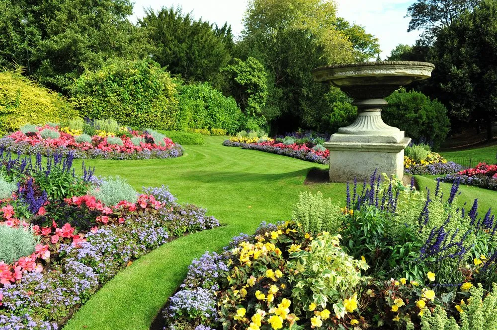 Custom yard cleanup service for outdoor upgrades across Sandia, TX - Rob's Home & Lawn Services