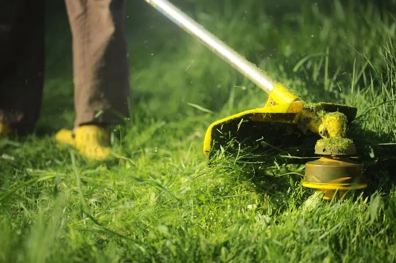 Top-rated lawn mowing service for beautiful yards across Sandia, TX - Rob's Home & Lawn Services