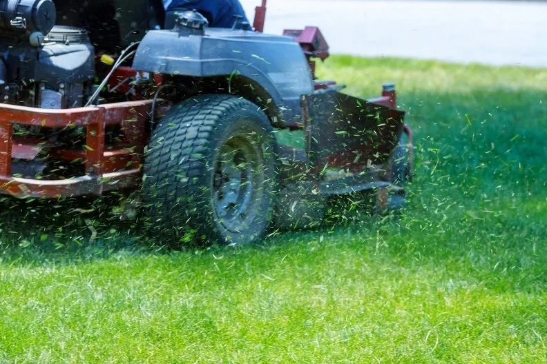 Professional yard maintenance experts serving Sandia, TX - Rob's Home & Lawn Services