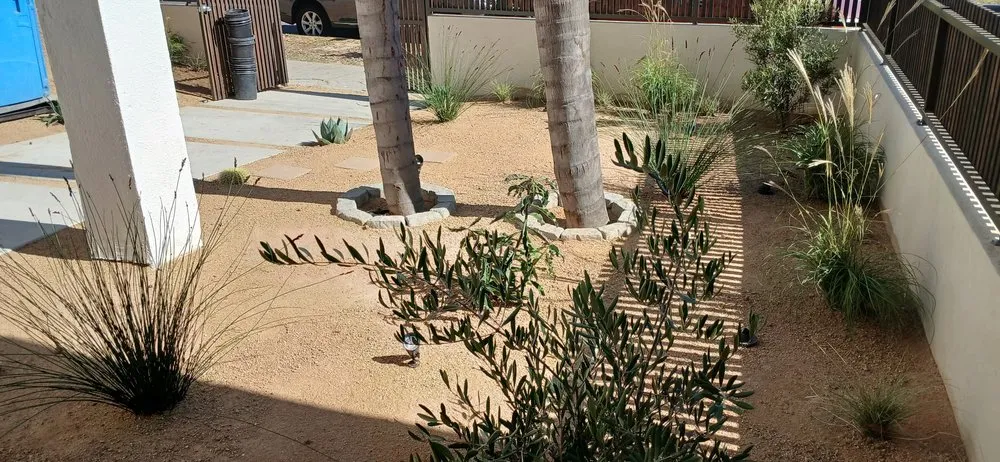 Expert landscape design in Los Angeles, CA by Robs Landscaping & Gardening Services