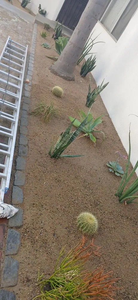 Trusted landscaping services experts serving Los Angeles, CA - Robs Landscaping & Gardening Services