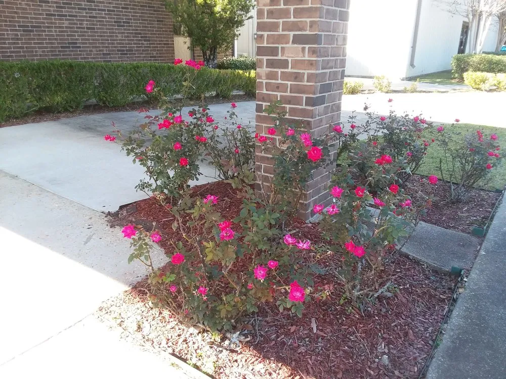 Top-rated outdoor landscaping for homes in GULFPORT, MS by Robs Lawn Care