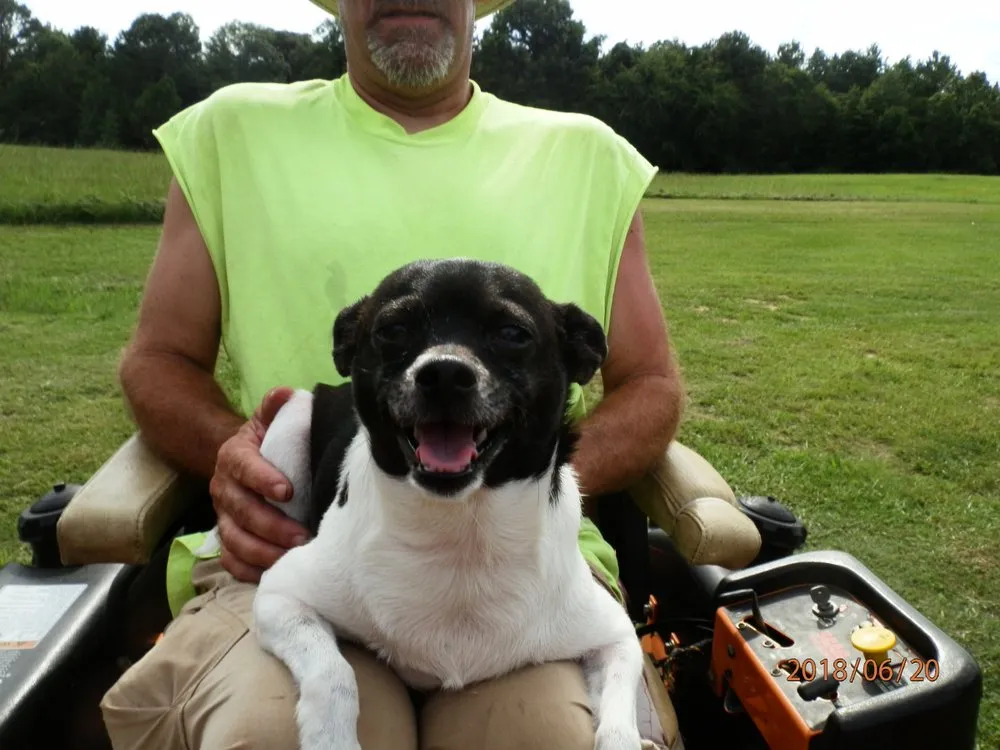 Expert landscape installation in GULFPORT, MS - Robs Lawn Care