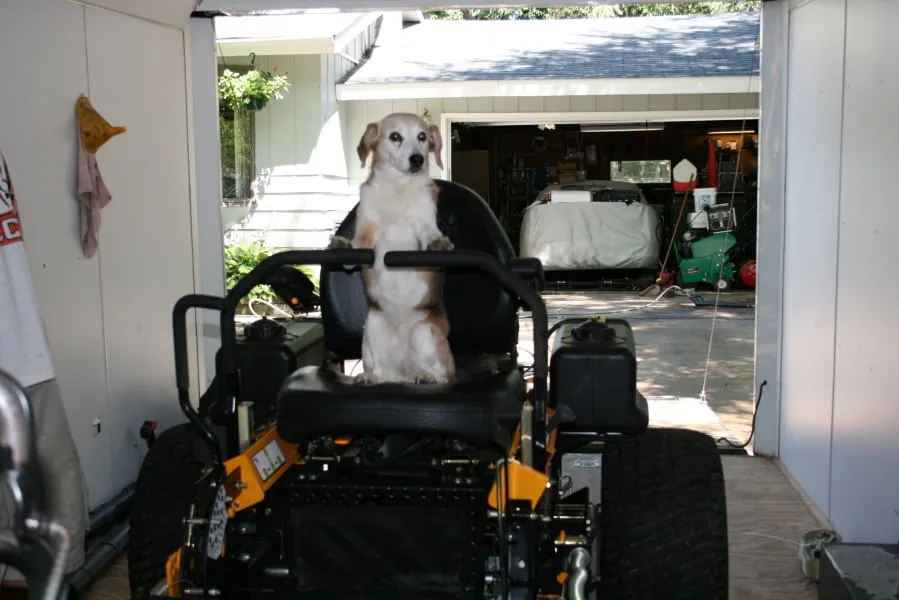 Custom landscaping services in San Angelo, TX by Rob's Lawn Care