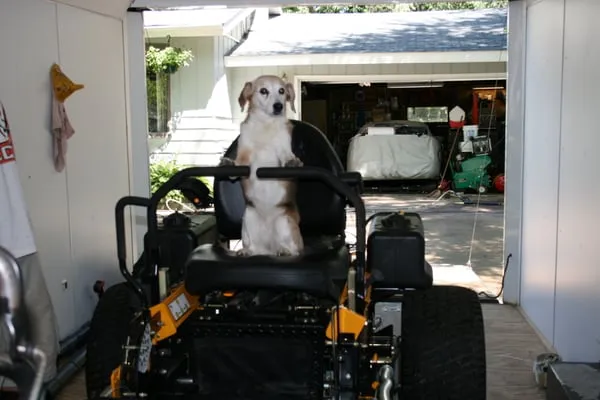 Rob's Lawn Care Logo