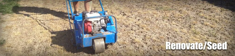 Trusted lawn mowing service experts serving Independence, MO - Rob's Lawn Mowing