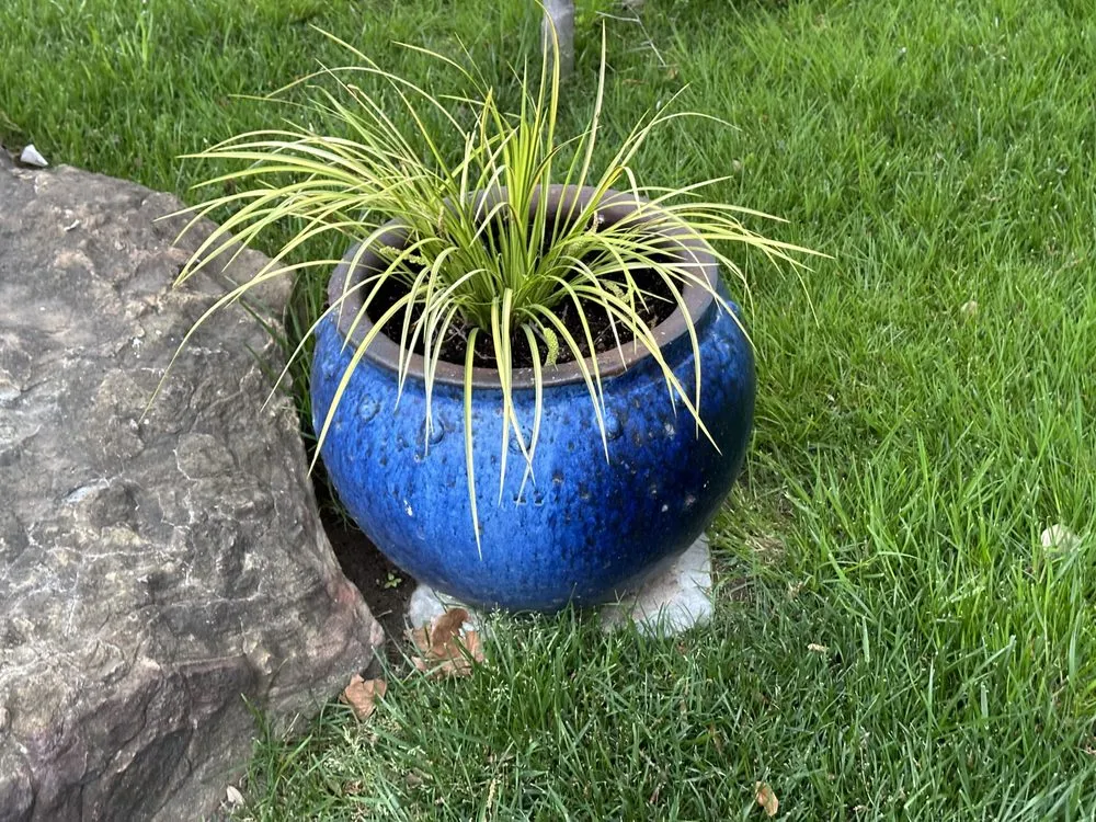 Reliable landscape installation in Enid, OK by Robs Lawn Service