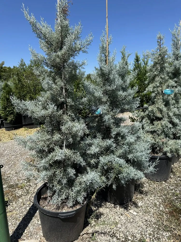 Affordable landscape design in Enid, OK - Robs Lawn Service