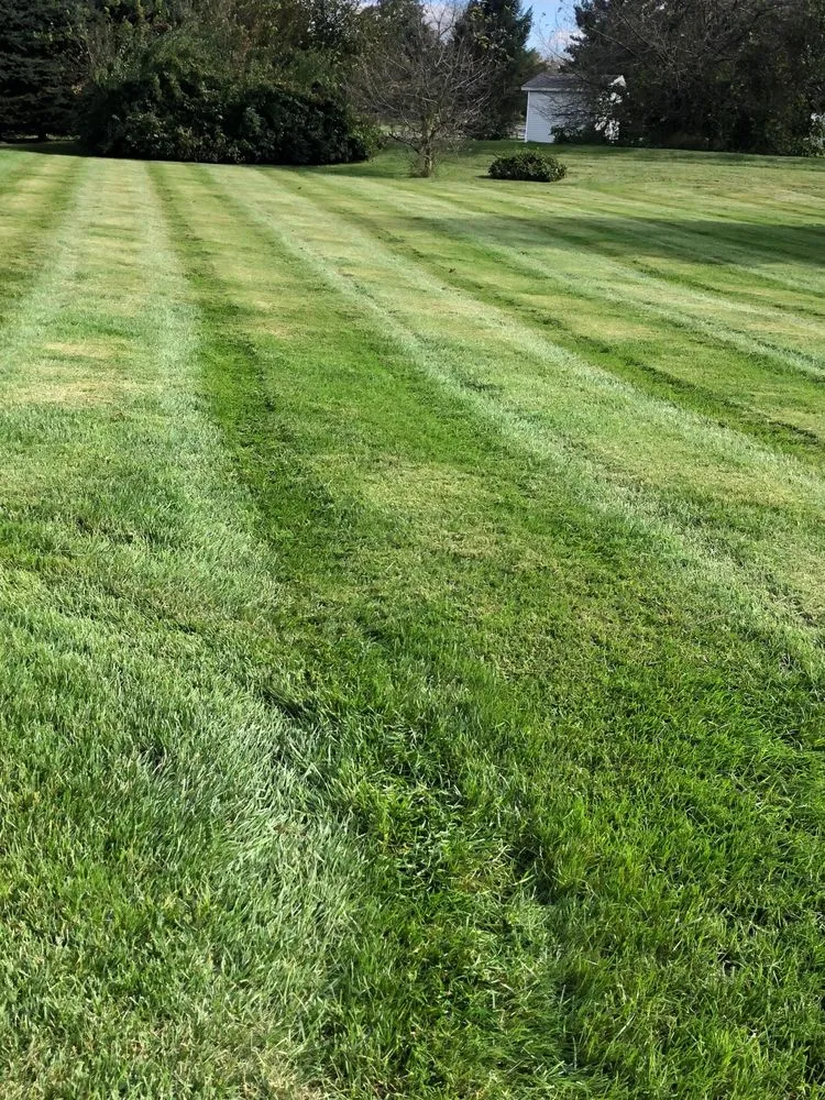 Professional yard cleanup service in Bethlehem, PA - Rob's Lawn Stars