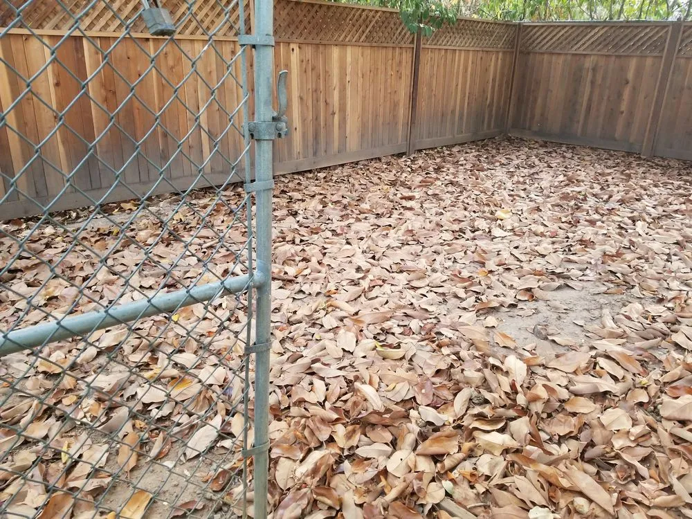 Trusted yard cleanup service in Citrus Heights, CA by Rob's Leaf Raking & Lawn Service