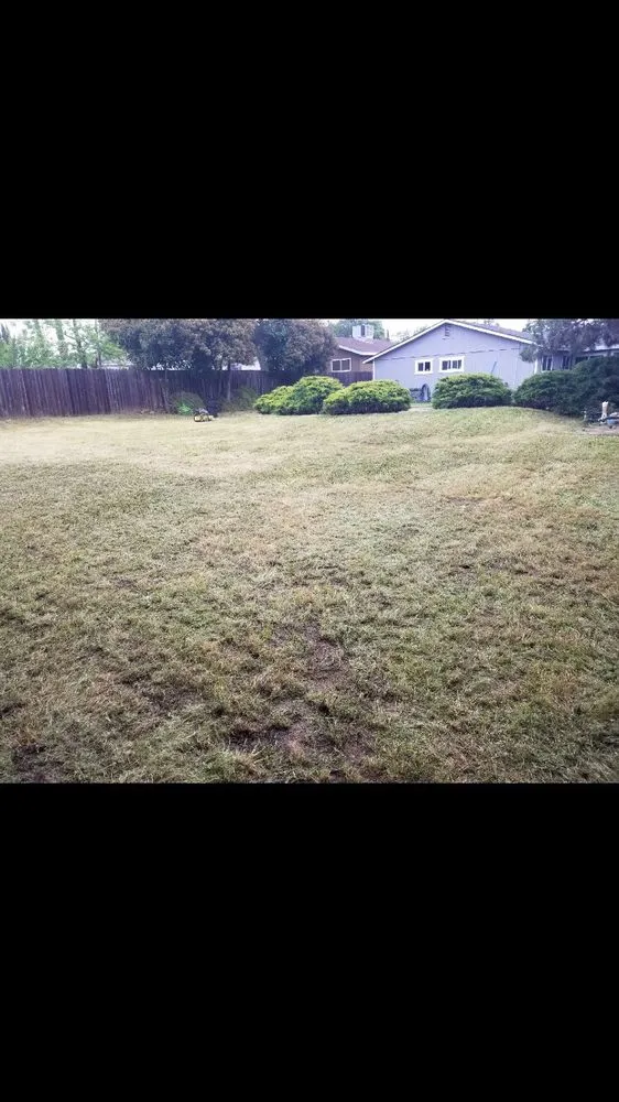 Trusted residential landscaping with custom design across Citrus Heights, CA - Rob's Leaf Raking & Lawn Service