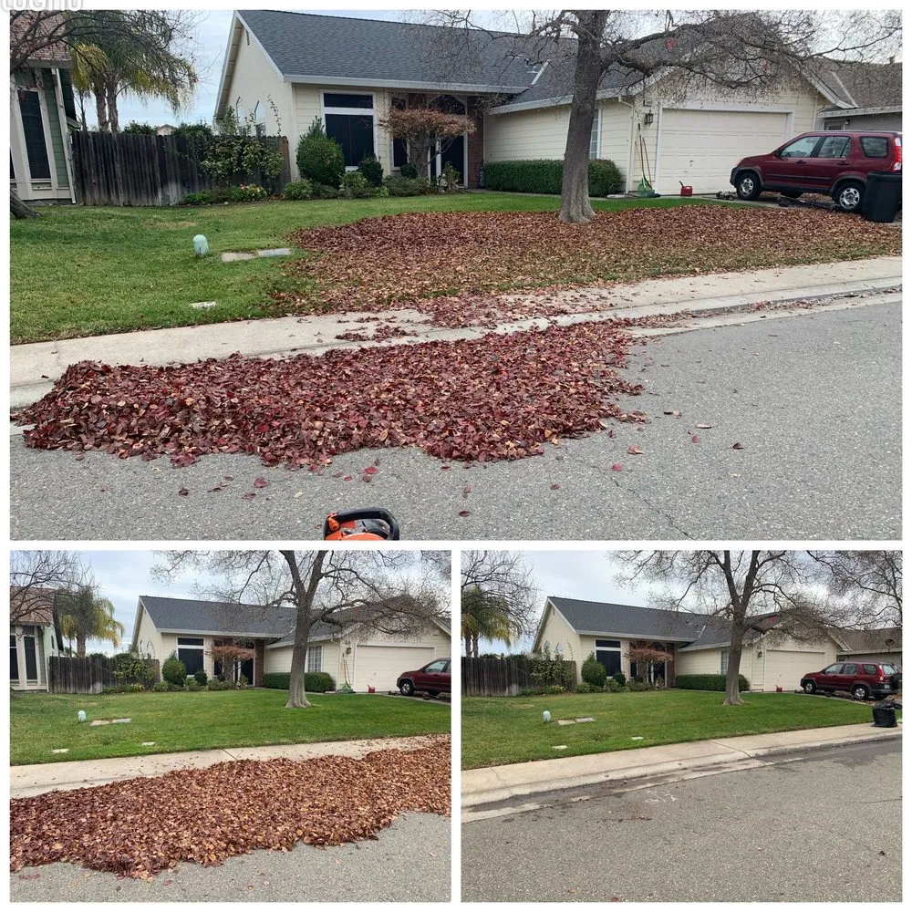 Affordable lawn care service for homes in Citrus Heights, CA by Rob's Leaf Raking & Lawn Service